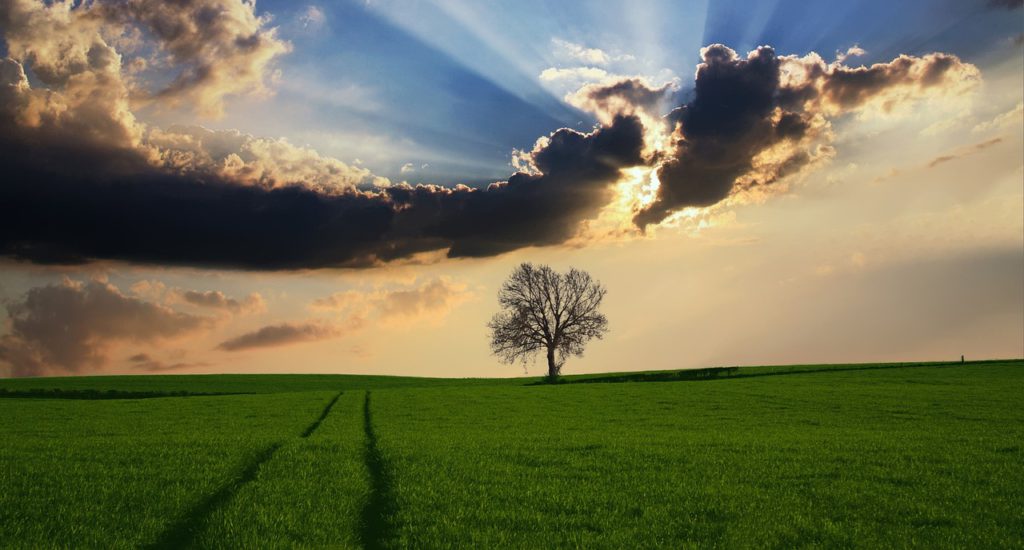 naturaleza