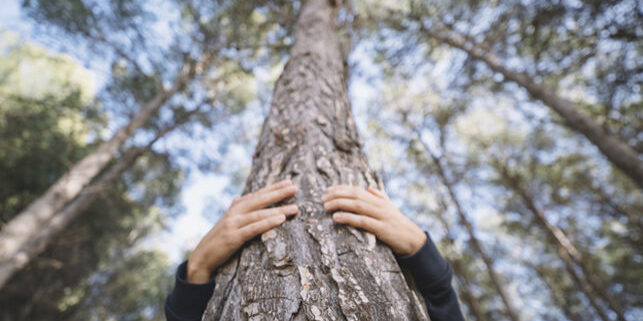 Los impostores ecologistas Los impostores ecologistas